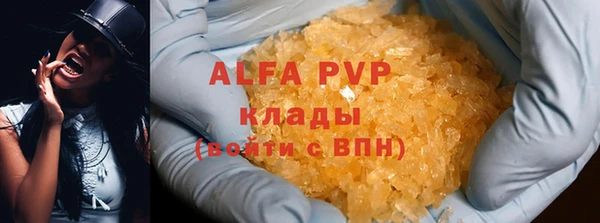 ECSTASY Дмитриев