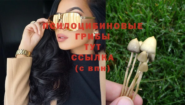 соль курить ск Дмитров