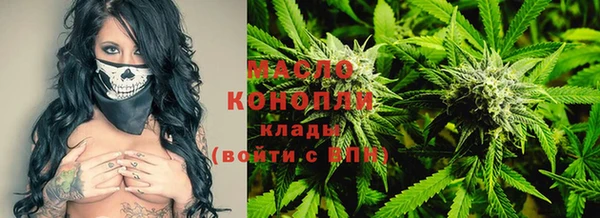 ECSTASY Дмитриев