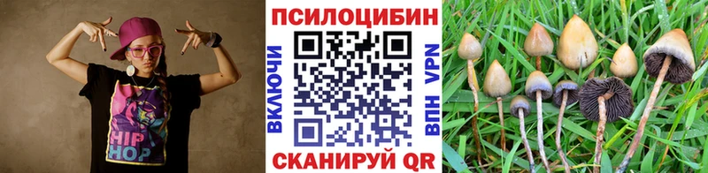 Псилоцибиновые грибы Psilocybe  Купить закладки  Райчихинск 