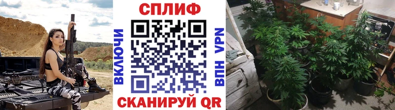 Купить где Райчихинск Бошки Шишки конопля
